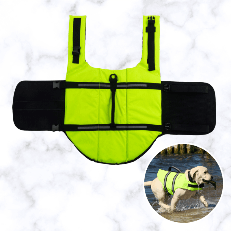 Gilet de sauvetage chien Taille XL : 65 cm Jaune & Noir