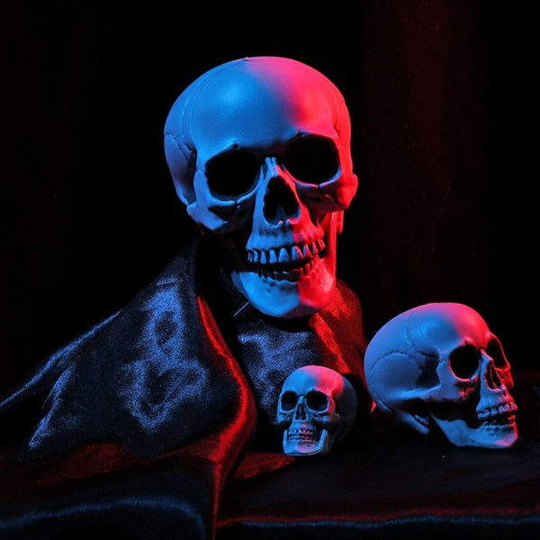 Crâne décoratif en plastique 15 cm par 6,25 €
