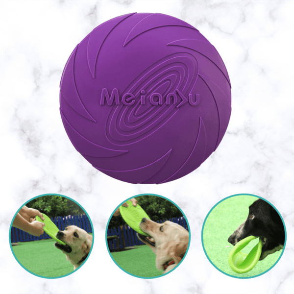Frisbee pour chien : pratique, apprentissage et prix - PagesJaunes