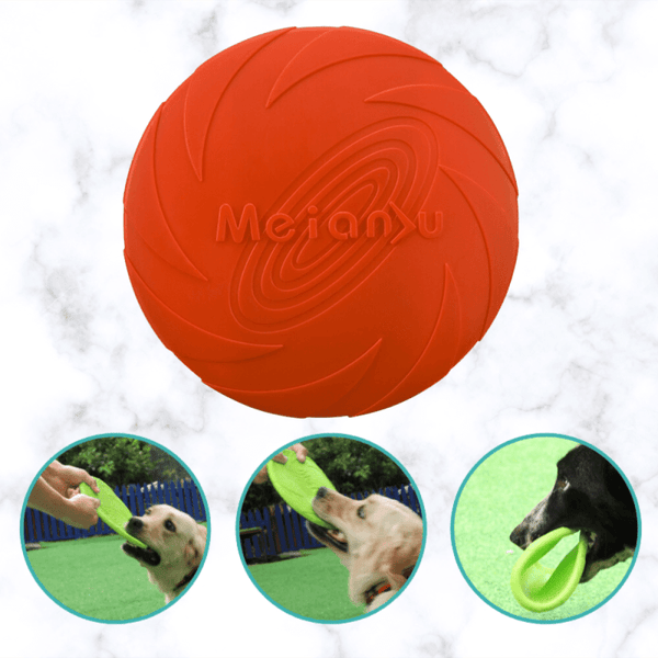 Frisbee pour chien résistant – La Boutique Des Hommes