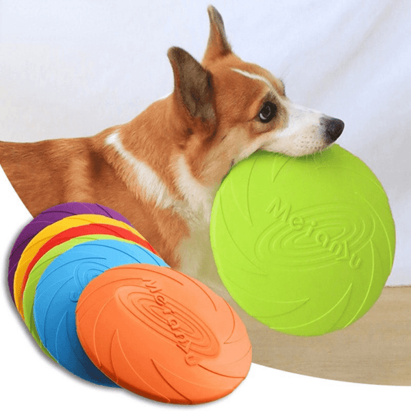 Frisbee de compétition pour chien
