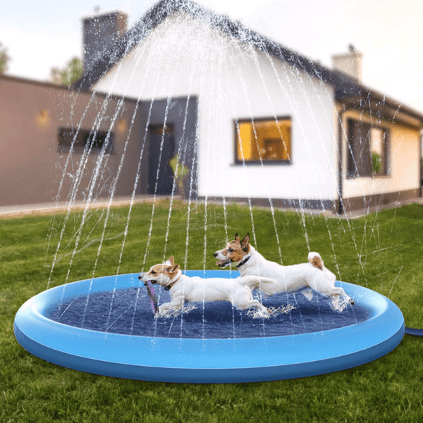 Piscine gonflable Doggy Pool Piscine pour chien 80/120/160 cm 3