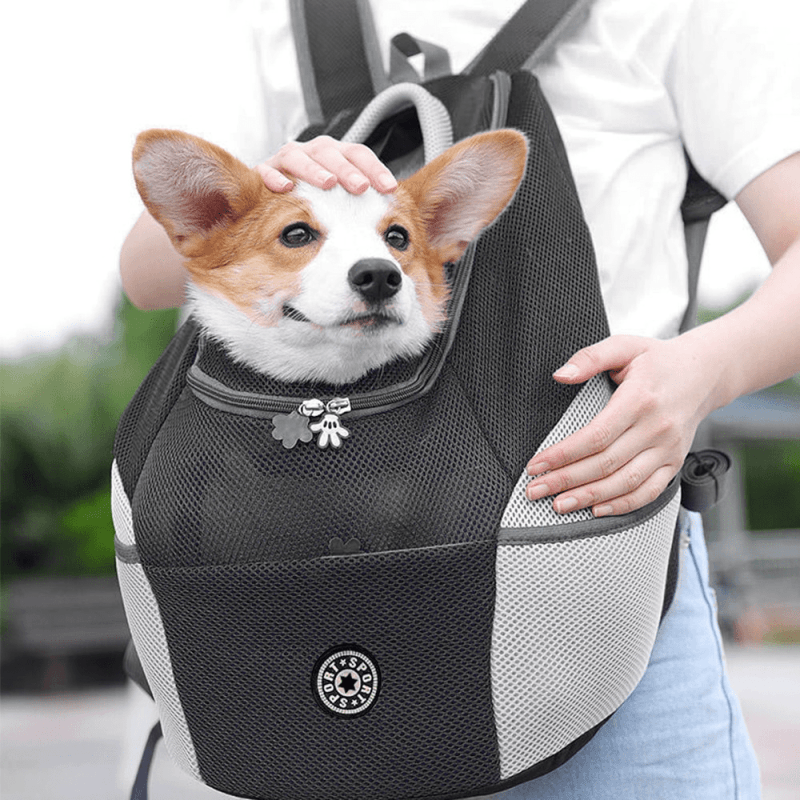 SAC A DOS DE TRANSPORT POUR CHIEN